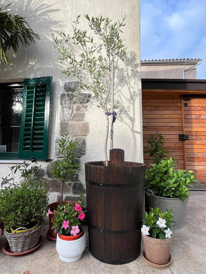 Gîte pour 4 personnes, avec jardin et vue, animaux acceptés à Vipava - 3