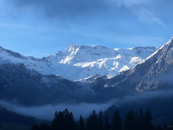 Ganze Wohnung, Hari in Adelboden, Frutigen - Lenk - Adelboden