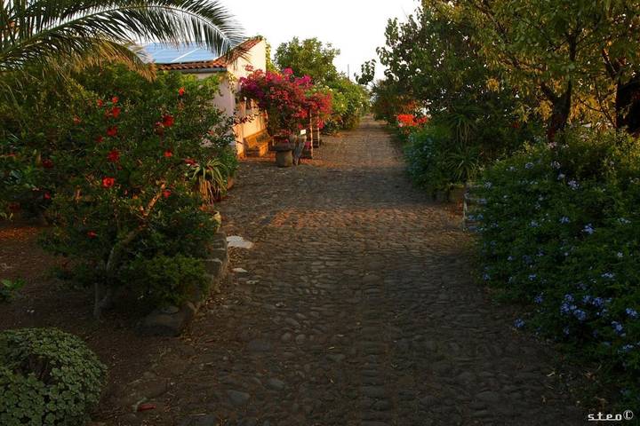 Appartamento per 4 persone, con Terrazza e Giardino nonché Panorama a Ustica