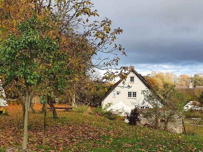 Ferienhaus für 8 Personen, mit Garten, mit Haustier in Zirkow