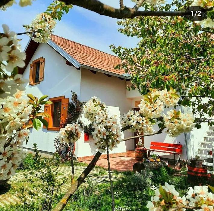 Maison d’hôte pour 8 personnes, avec sauna ainsi que vue et jardin dans Slavonie - 3