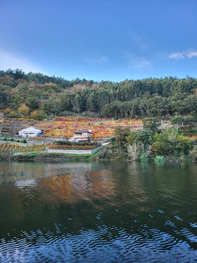 Casa rural para 2 personas, con Balcón y Terraza además de Jardín y Vistas en Provincia de Lugo - 3