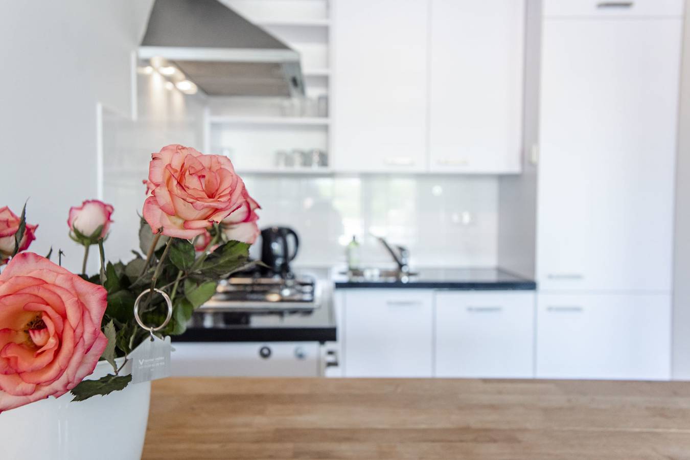 Ganze Wohnung, Geräumige und luxuriöse Wohnung im ersten Stock mit Balkon in Warmond, Niederländische Nordsee