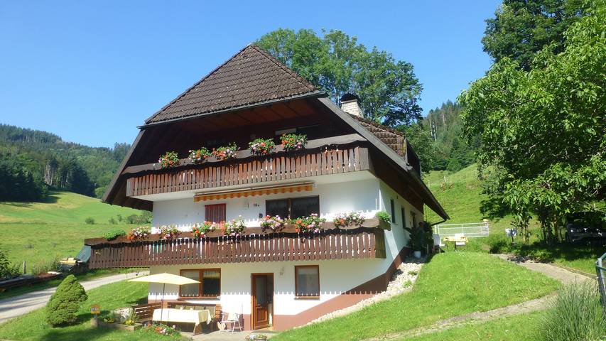 Apartamento inteiro, Apartamento Bergquelle com vista para a montanha, terraço privado e Wi-Fi in Kirchzarten, Floresta Negra do Sul