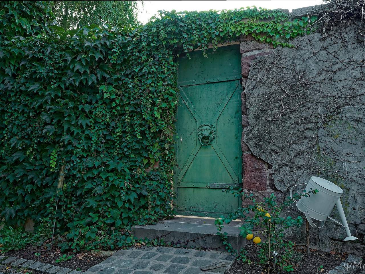 Ganze Ferienwohnung, Fröhlich-Daheim - Wohnung Baden, offen Bauweise, Wc/Dusche in Bundenthal, Pfalz