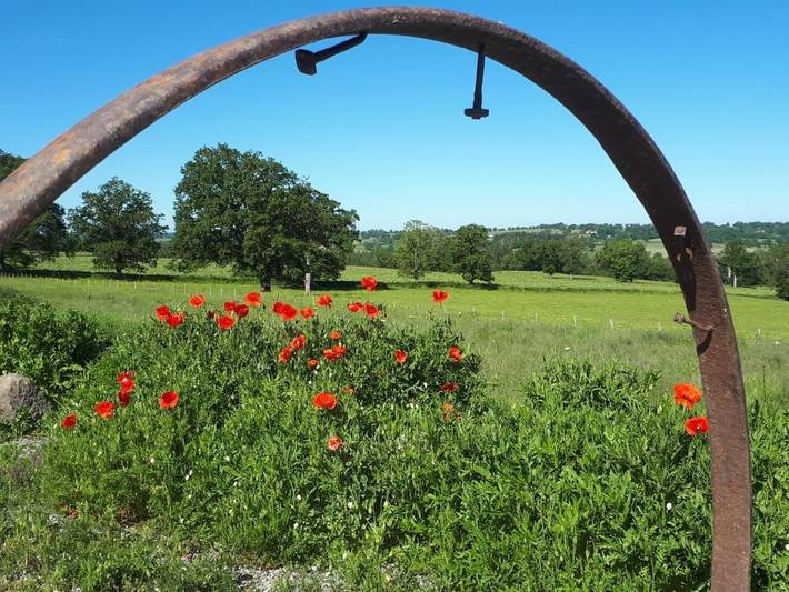 Chambre d’hôte pour 2 personnes, avec vue ainsi que terrasse et jardin, animaux acceptés dans la Creuse - 3