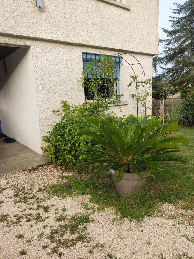 Chambre d’hôte pour 2 personnes, avec jardin à Saint-Vite - 4