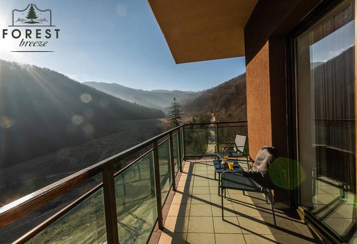 Gîte pour 3 personnes, avec vue et terrasse dans Poiana Brasov - Brasov - 2