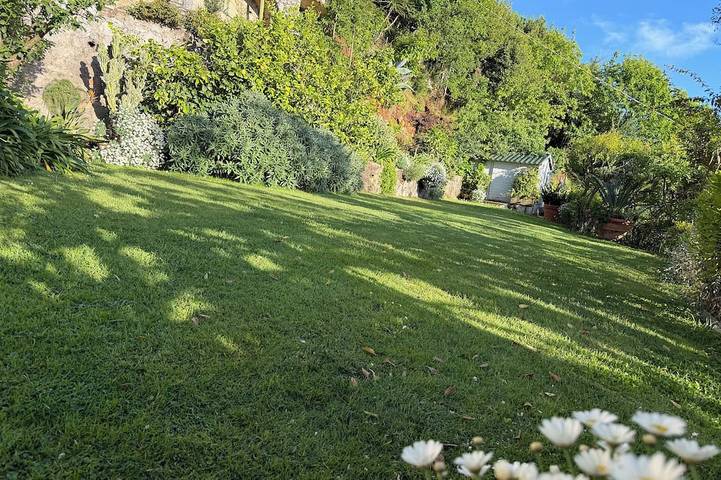 Villa Charme Toscana ⭐⭐ ⭐ ⭐ ⭐Wall  Box  Sea View in Camaiore (Toscana), Riviera Toscana