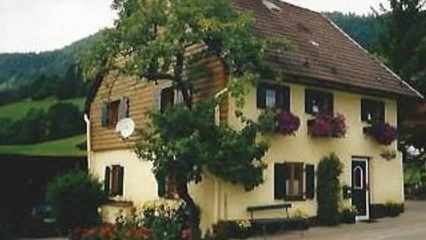 Ferienhaus für 8 Personen, mit Pool und Garten in Abtenau - 2