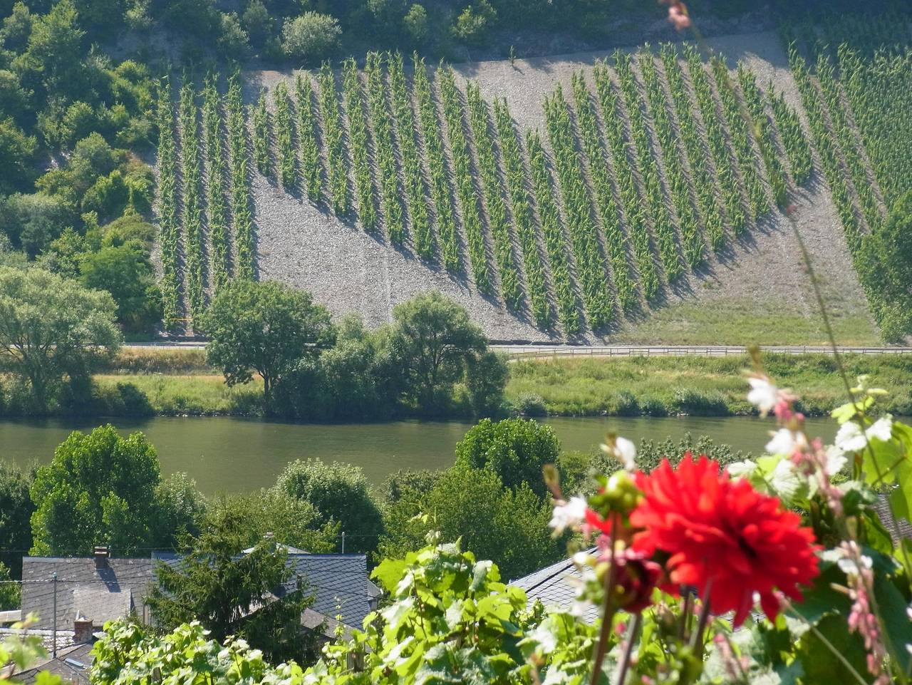 Ganze Ferienwohnung, Ferienwohnung Helga Bollig - 4-Bettwohnung in Neumagen-Dhron, Bernkastel-Kues & Umgebung