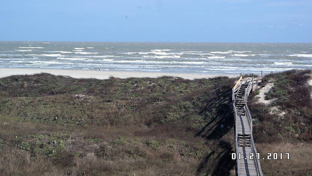 Pearl auf dem Parkplatz! in Port Aransas, Mustang Island