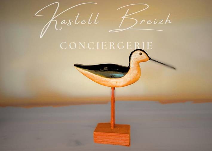 Location de vacances pour 11 personnes à Goudelin - 3