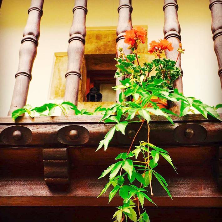 Casa rural para 6 personas, con balcón y vistas en Comarca de Oriente - 3