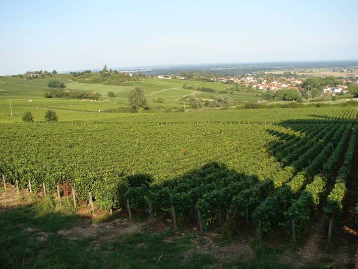 Le Cuvage de Davenay in Buxy, Region Chalon-sur-Saône