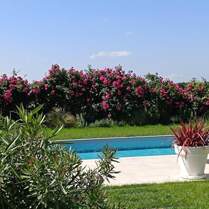 Location de vacances pour 2 personnes, avec piscine ainsi que terrasse et jardin à Sainte-Soulle - 4