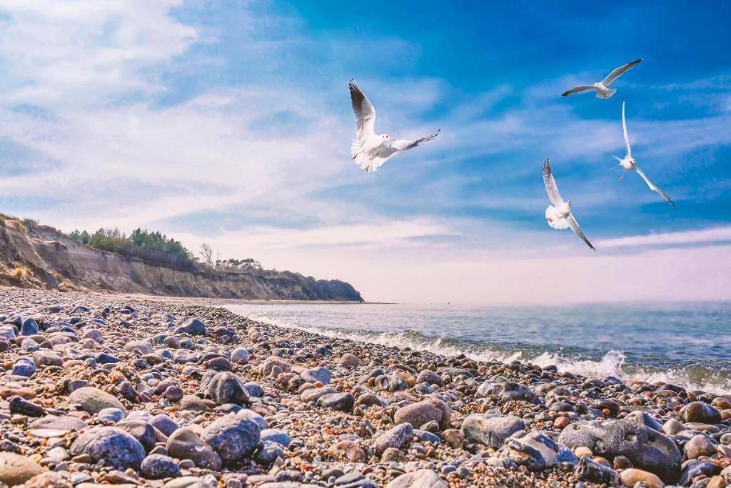 Bungalow Sonne Und Meer direkt am Strand in Bakenberg, Dranske