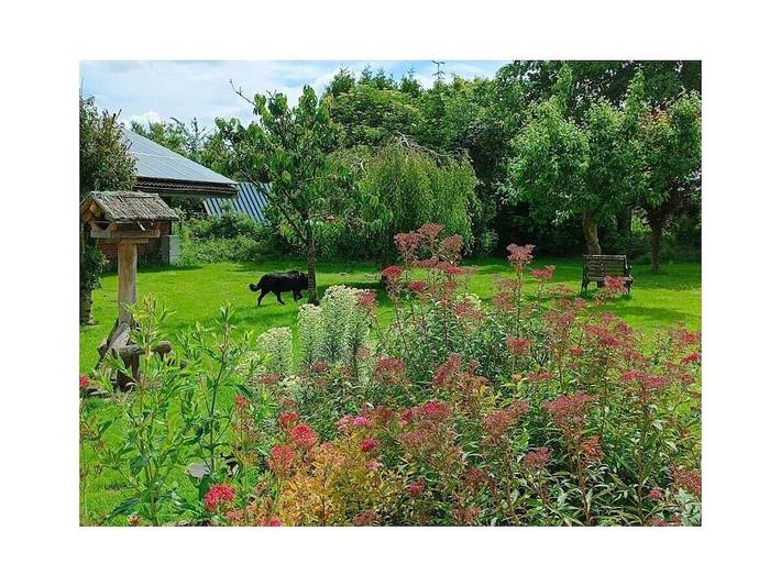 Ferienhaus für 6 Personen, mit Terrasse und Garten in Westerholt - 3