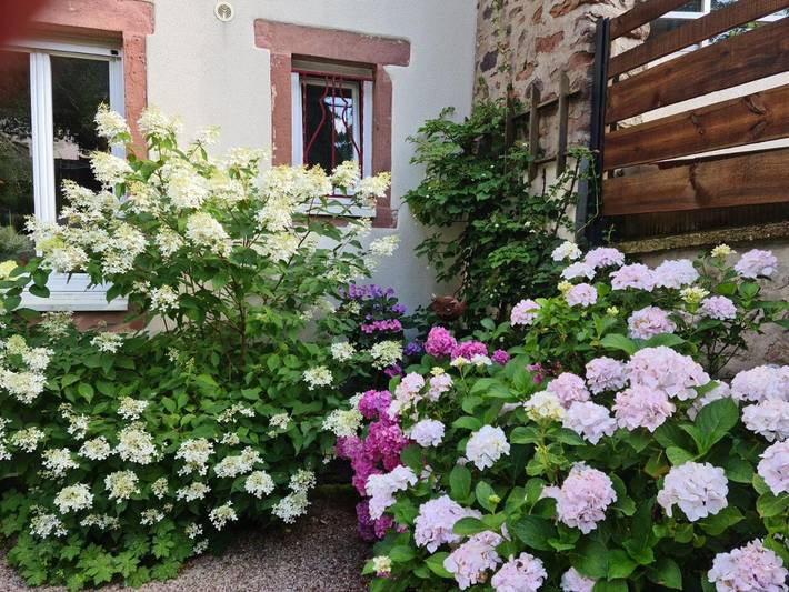 Gîte pour 4 personnes, avec jardin et vue à Senones - 2