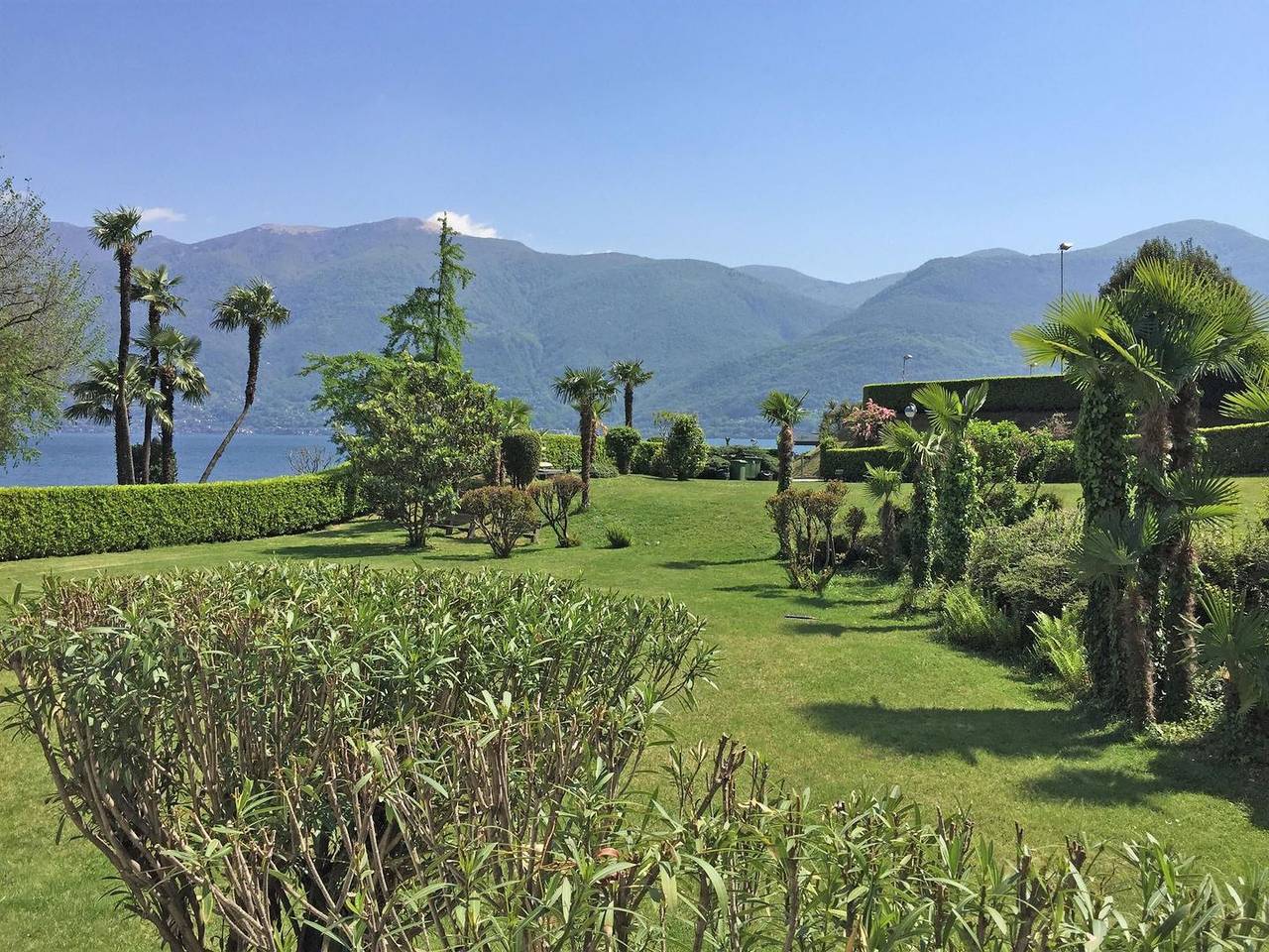Ganze Wohnung, Appartement in exklusiver Seelage mit Blick auf die Grünanlage und den Lago Maggiore mit Hallenbad. in Porta (Brissago), Brissago