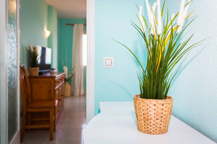 Entire apartment, Holiday Apartment "Farolas 3B"at the Sea with Breathtaking View in Can Picafort, Santa Margalida