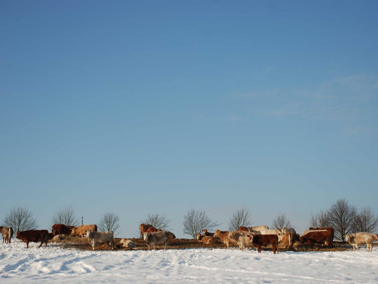 Ferienhof Hafflandsichten - Heuboden in Dargen, Usedom