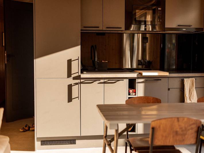 Ferienhaus für 4 Personen, mit Sauna und Garten in Overijssel - 4