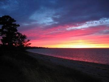 Cottage for 5 Guests in Nantucket Island, Massachusetts, Picture 4