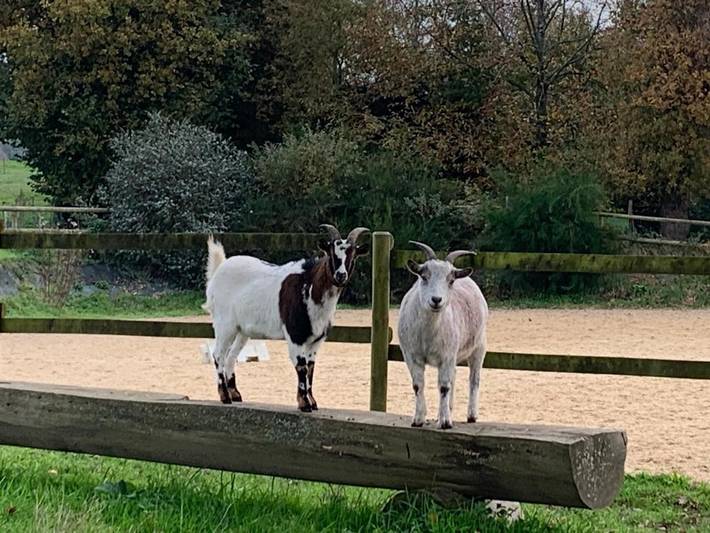 Chambre d’hôte pour 3 personnes, avec jardin dans Theix-Noyalo - 3