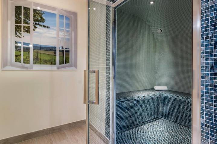 Chambre d’hôte pour 4 personnes, avec piscine et sauna ainsi que jardin et vue, animaux acceptés dans Seine-et-Marne - 4