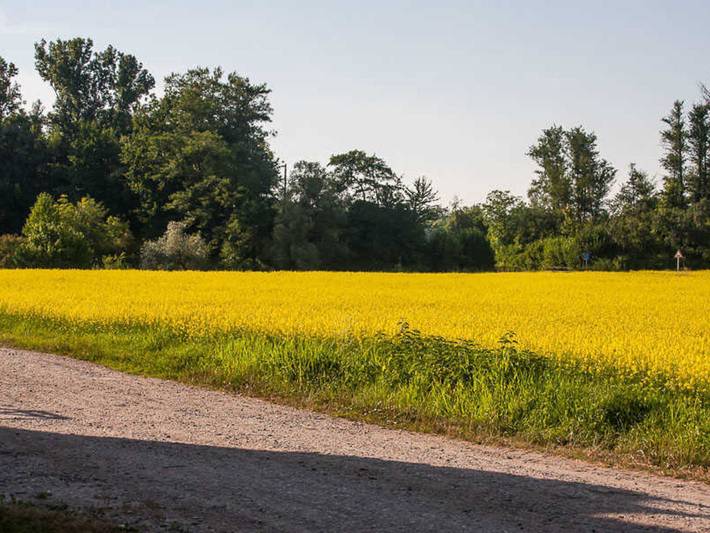 Bauernhaus für 7 Personen, mit Balkon und Garten sowie Ausblick, kinderfreundlich in Mittlerer Schwarzwald - 2