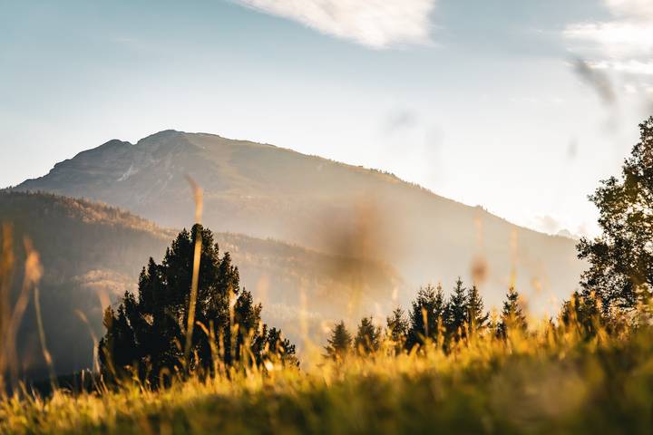 Hütte für 6 Personen, mit Balkon und Balkon/Terrasse sowie Sauna in Reit im Winkl - 2