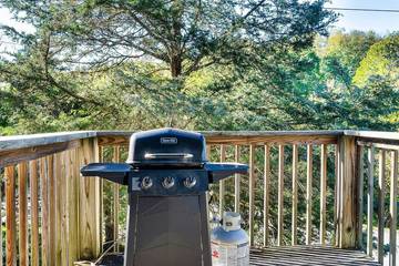 Log Cabin for 5 Guests in Douglas Lake, Sevier County, Picture 2