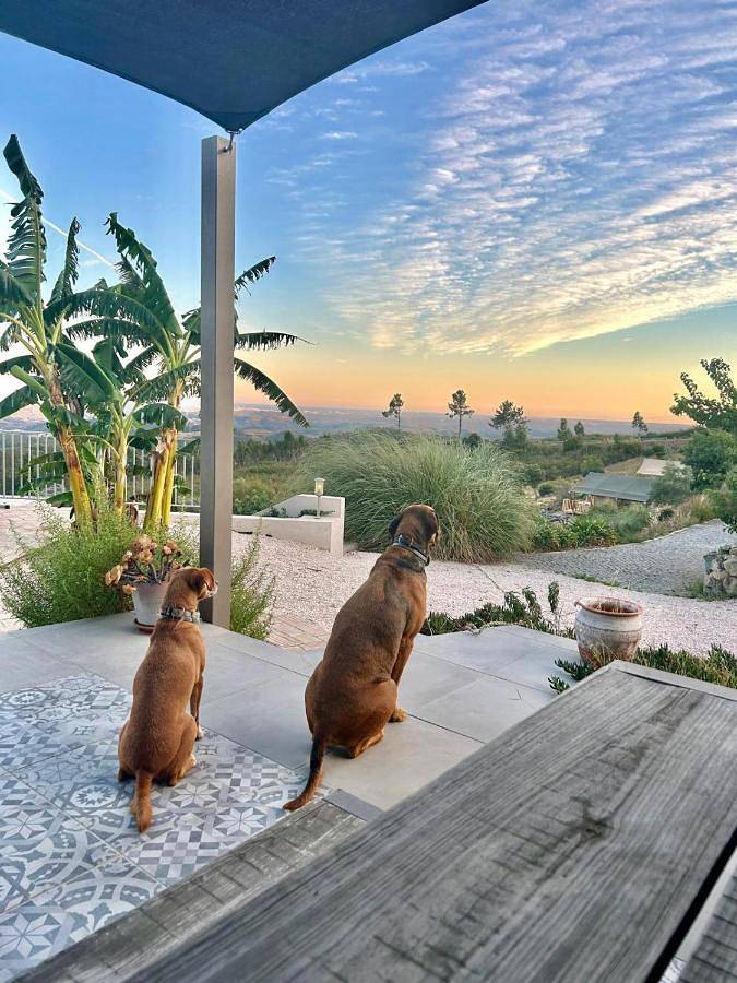 Alojamiento y desayuno para 2 personas, con Balcón y Terraza además de Jardín y Piscina en Monchique - 2