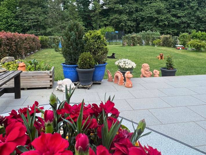 Ferienwohnung für 3 Personen, mit Terrasse und Garten sowie Sauna und Ausblick in Rimbach - 4