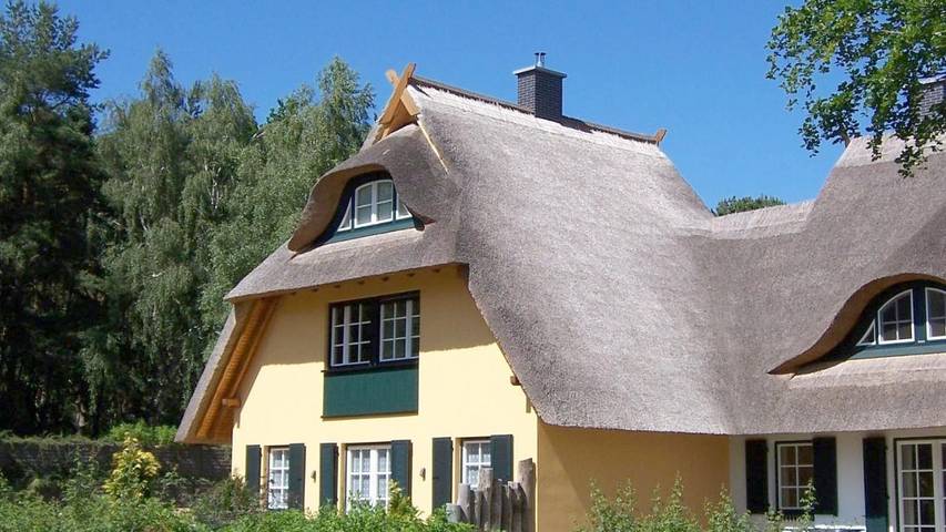 Ferienhaus für 6 Personen, mit Ausblick und Garten sowie Sauna, mit Haustier in Dierhagen