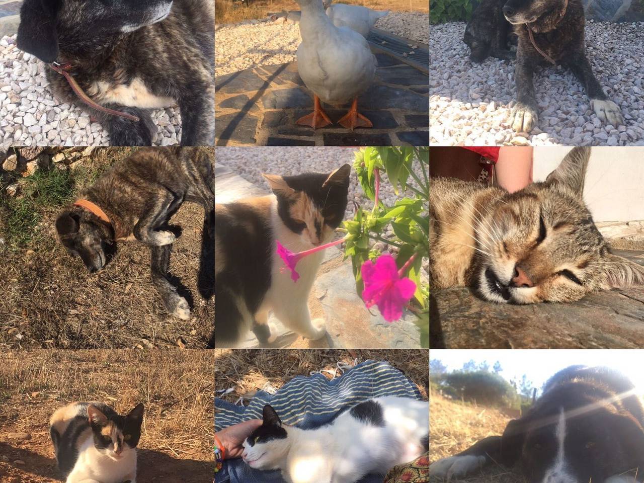 Apartamento inteiro, "The Natural Elements" in Odeceixe, Costa Alentejana