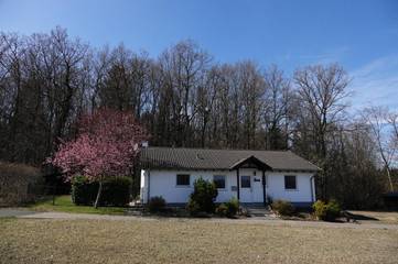 Ferienhaus für 6 Personen, mit Ausblick und Garten in Gerolstein