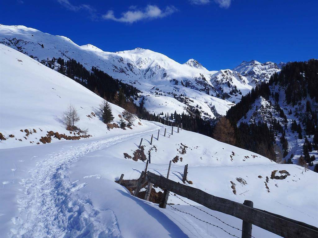 Double room, shower, toilet in Navis, Innsbruck Land