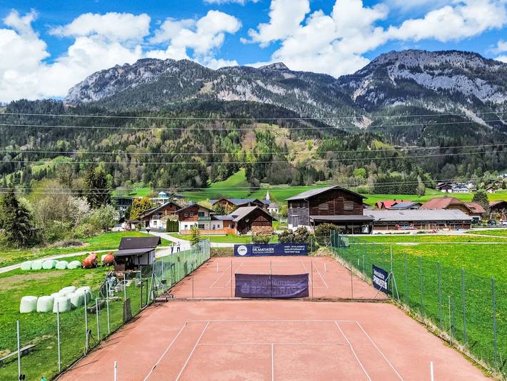 Ferienhaus für 8 Personen, mit Terrasse und Garten, mit Haustier in Schladming-Dachstein - 2