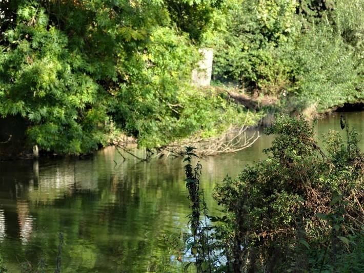 Ferienwohnung für 2 Personen, mit Balkon und Ausblick in Horumersiel - 4