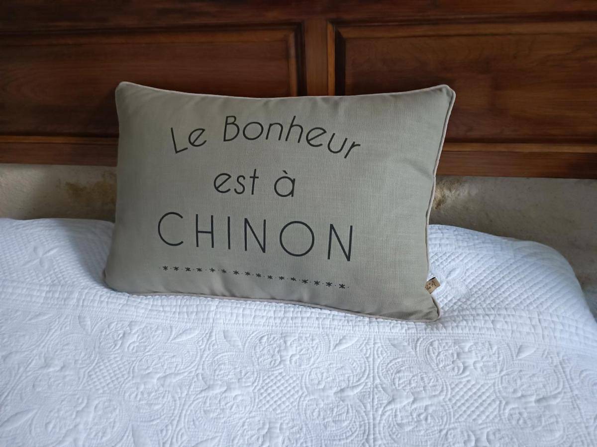 Gîte la comète in Chinon, Loire-Tal