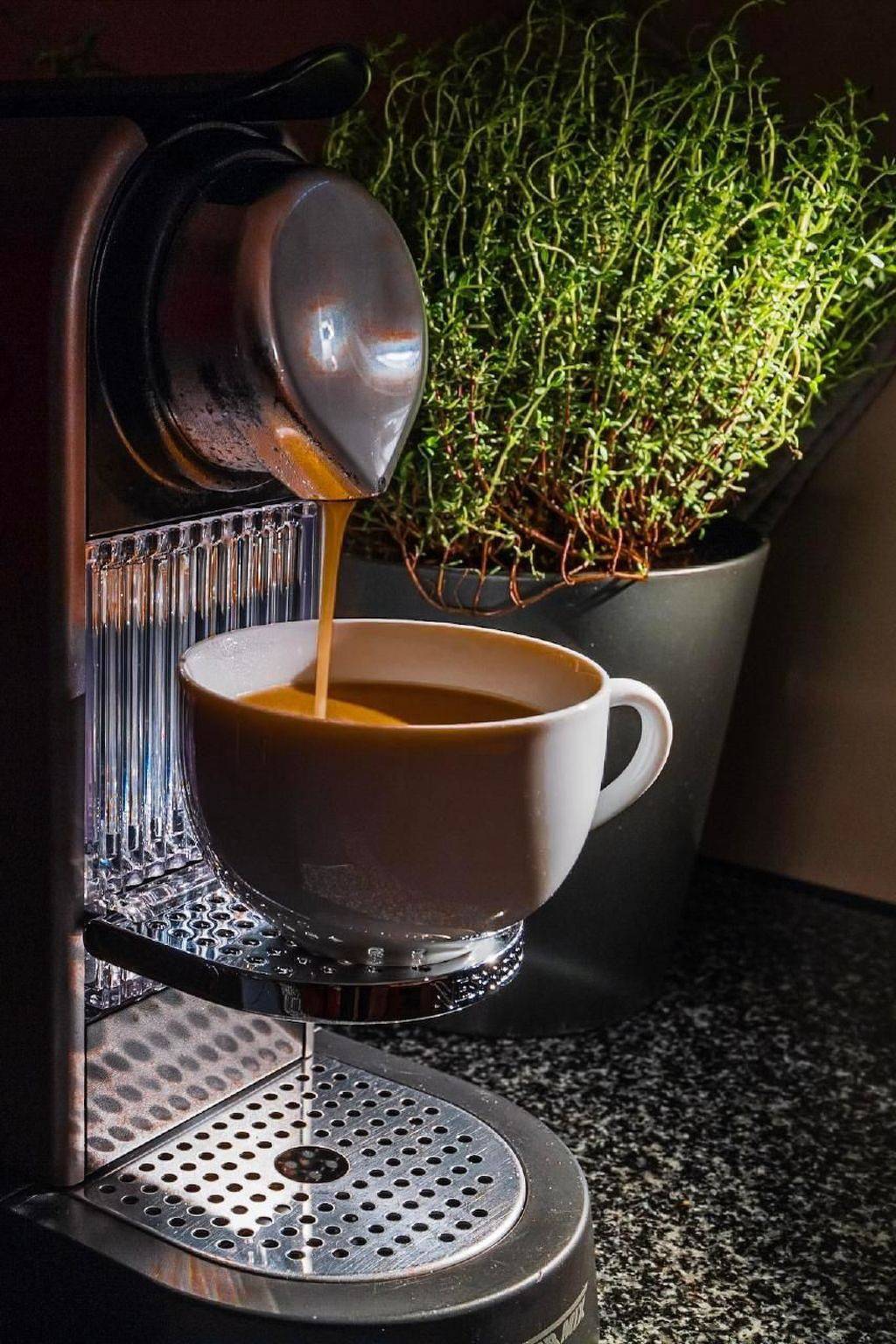 Ganze Wohnung, Chalet Raufthubel in Lauterbrunnen, Grindelwald und Umgebung