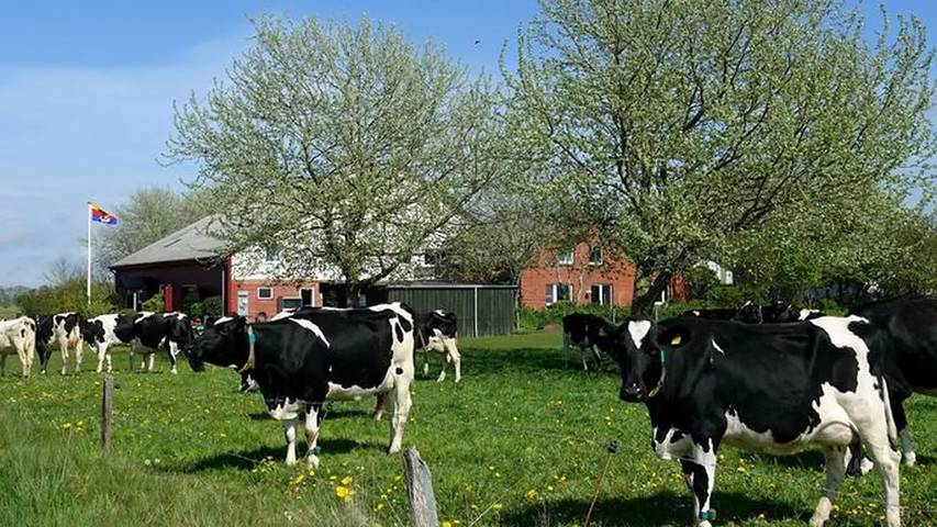 Bauernhof für 4 Personen, mit Garten