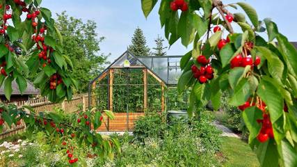 Ferienwohnung für 4 Personen in Olbernhau, Chemnitz und Umgebung, Bild 2