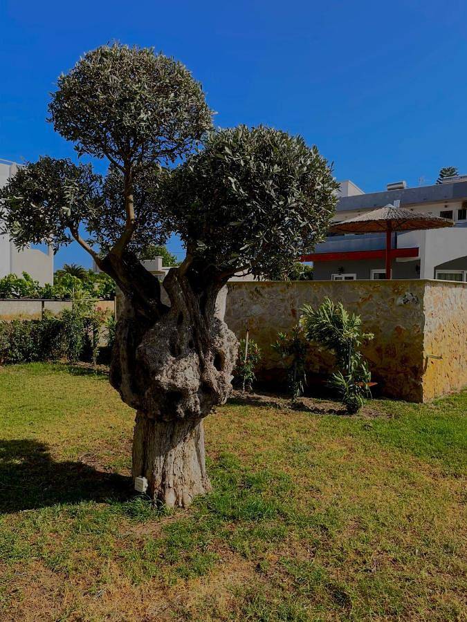 Gîte pour 2 personnes, avec jardin ainsi que balcon et vue à Faliráki - 4