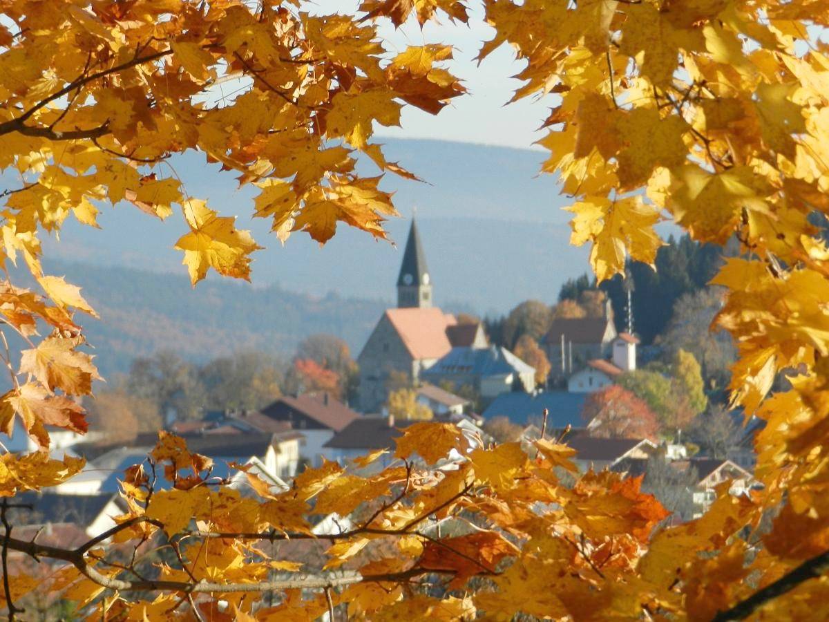 Ganze Wohnung, Ferienwohnungen Krieger - Ferienwohnung 1 in Mauth, Šumava Mountains