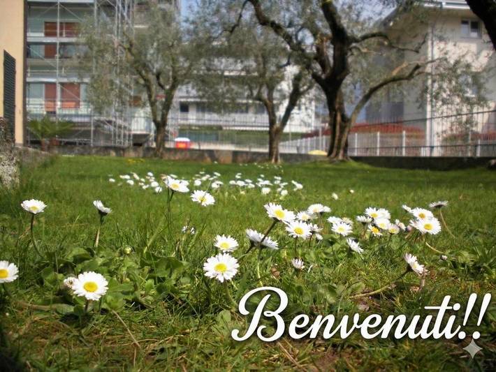 Chambre d’hôte pour 2 personnes, avec jardin ainsi que terrasse et vue à Riva del Garda - 4