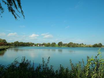 Bungalow für 5 Personen in Butjadingen, Südliche Nordseeküste, Bild 4