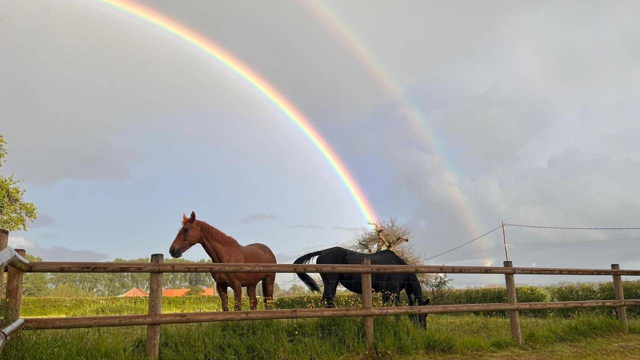 La laiterie in Steenwerck, Région de Dunkerque